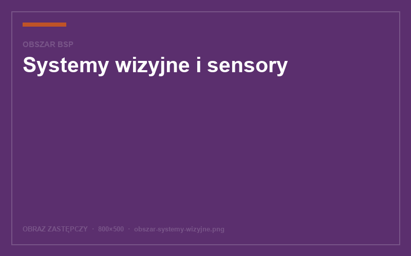 Systemy wizyjne i sensory