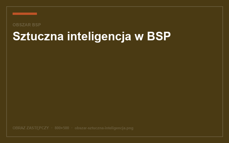 Sztuczna inteligencja w BSP
